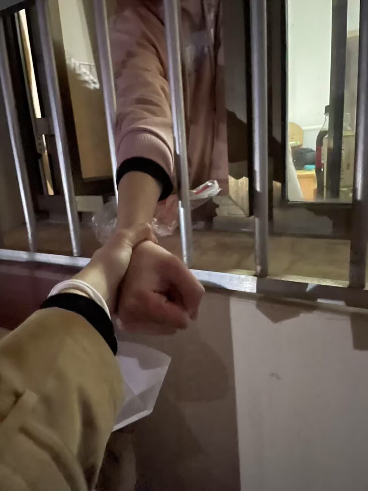 看望隔离泡芙