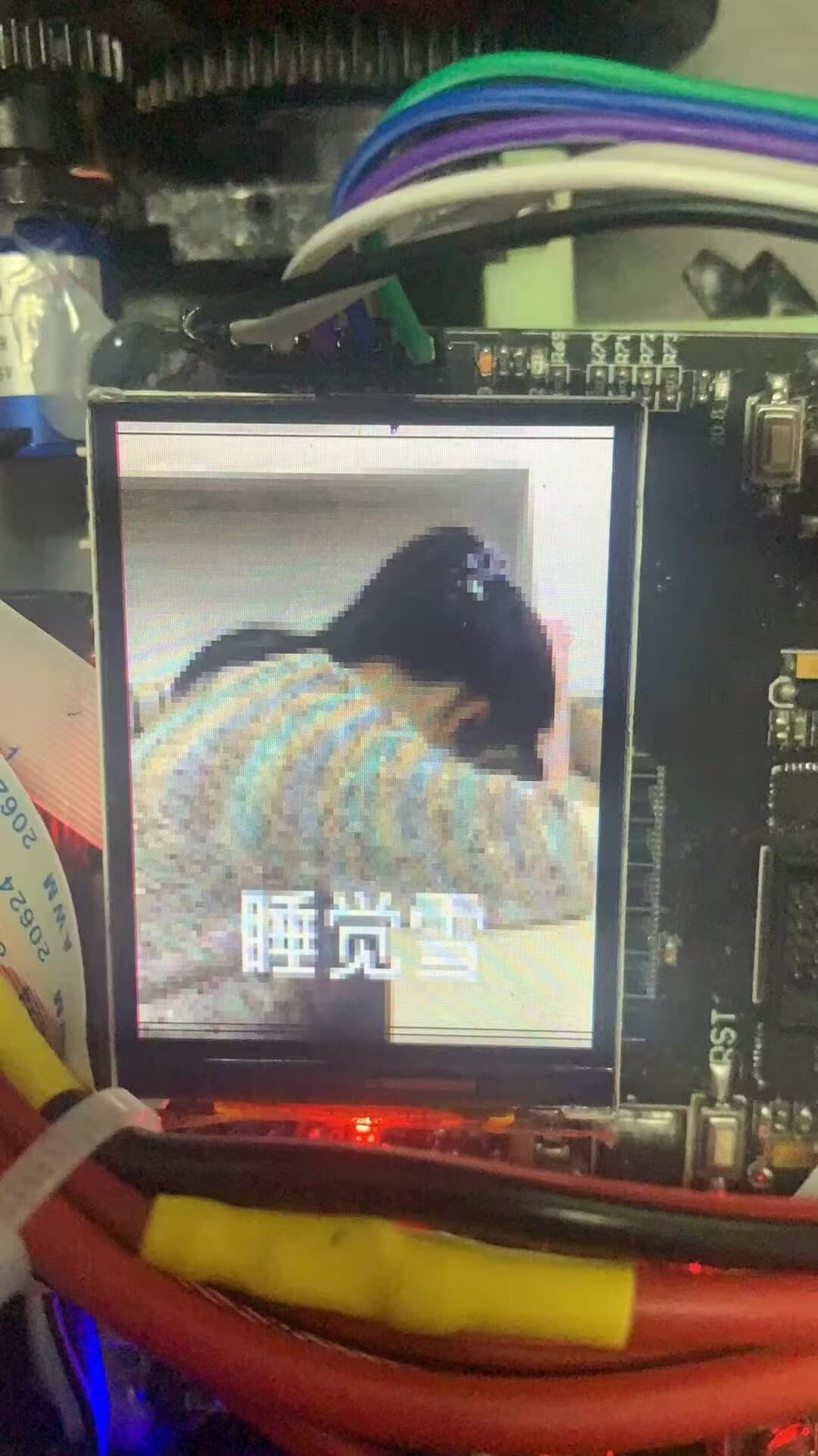 睡觉雪Pro